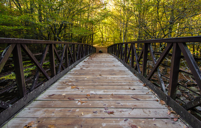 bridge on Gatlinburg Trail