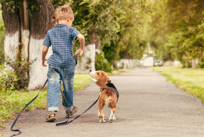 child with dog