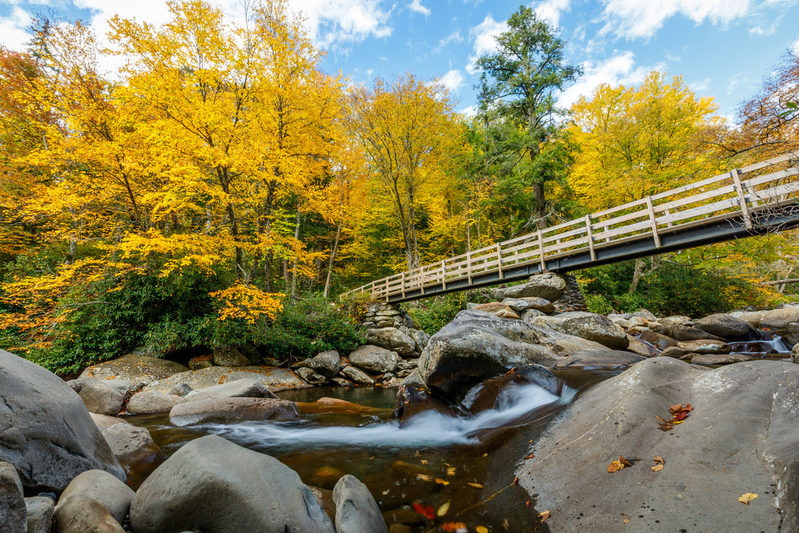 smokies trails in autumn