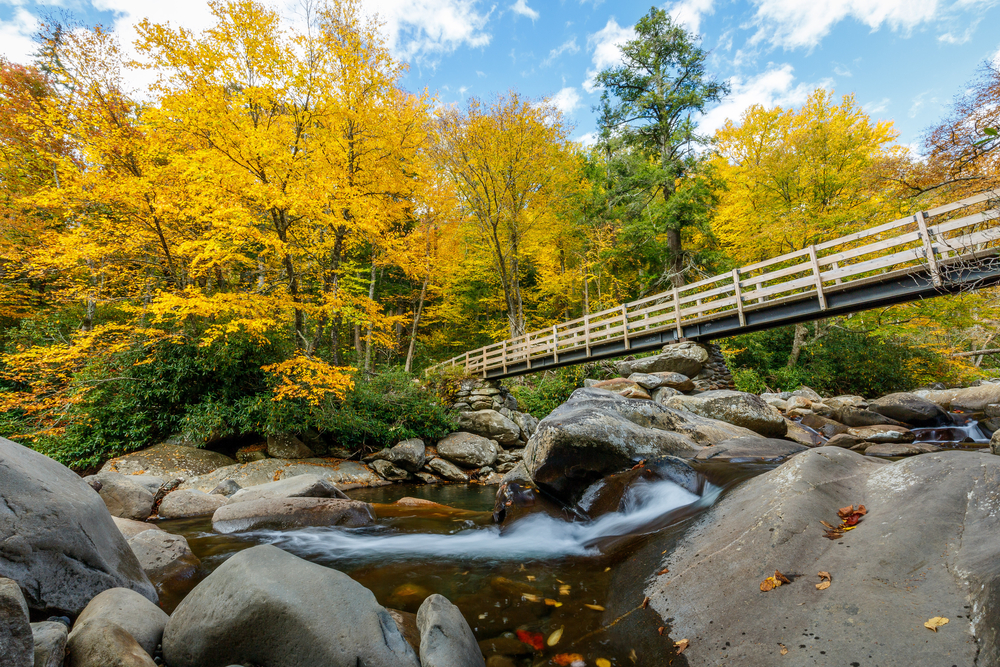 smokies trails in autumn