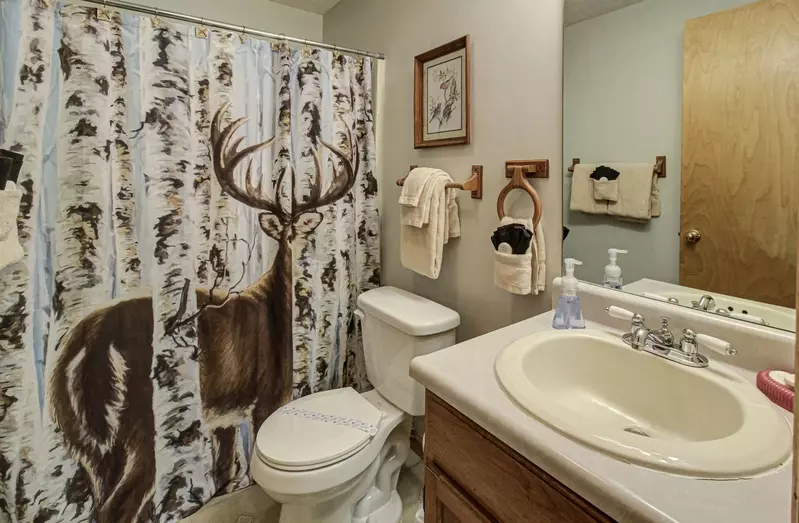 Downstairs Bedroom Bathroom 