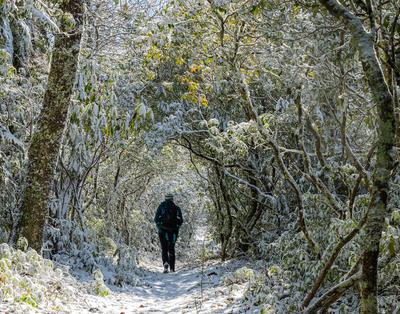 hiking in the smokies winter