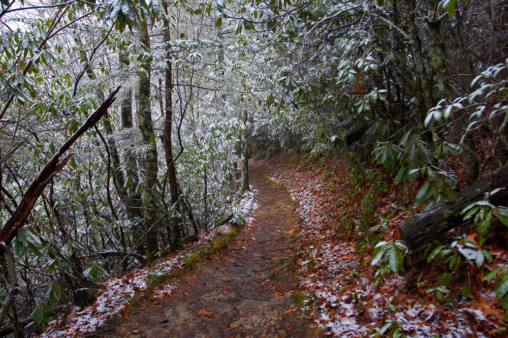 winter hiking trail in smoky mountains